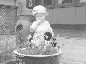 flowersmommy.jpg