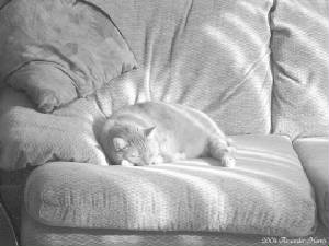 sunbeam.jpg