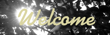 welcomebanner.jpg